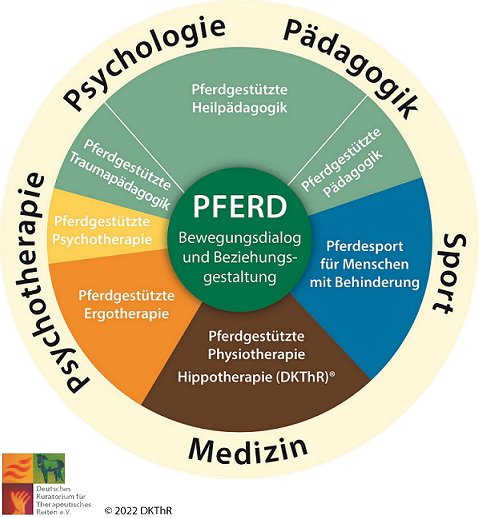 Schema Therapeutisches Reiten