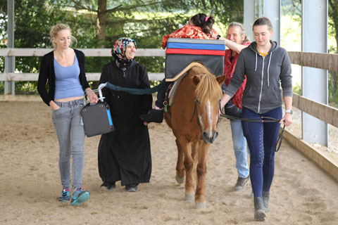 Reitinklusivwoche 2024